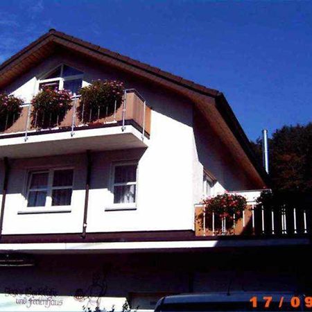 Ferienappartements Bruestle Friburgo de Brisgovia Exterior foto